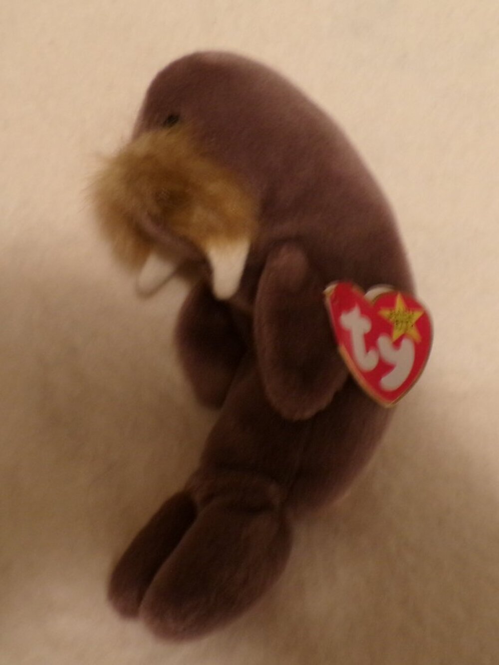 TY Beanie Baby - JOLLY the Walrus 1996